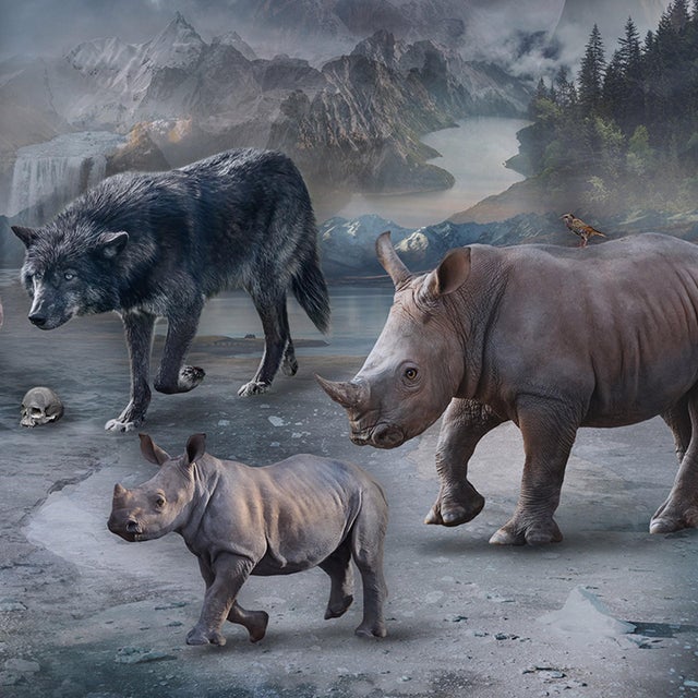 Contemporary Protect What You Love by Marcin Owczarek | Photography on Fine Art Hahnemühle of animals in a surreal landscape For Sale - Image 3 of 5