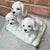 Rustic European Vintage Mid 20th Century Italian Majolica Trio of Pups Figurine For Sale - Image 3 of 11