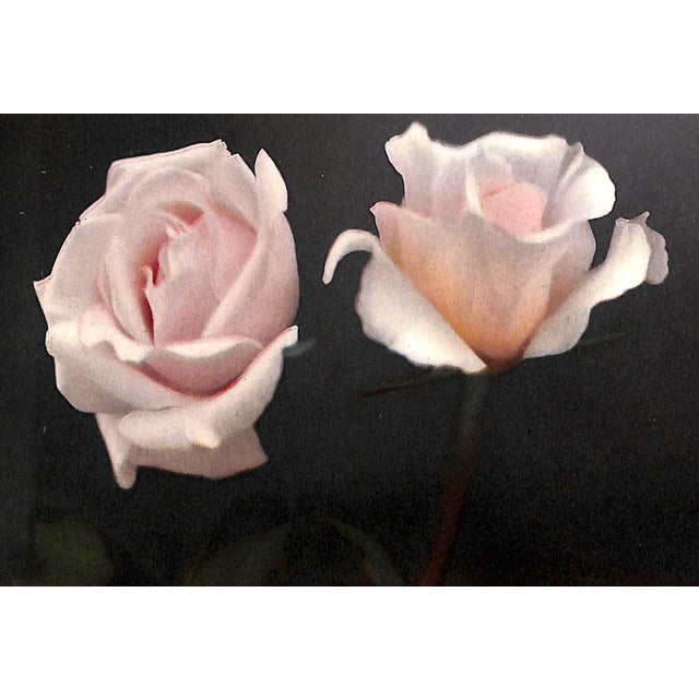 "The Practical Book of Outdoor Rose Growing" 1915 Thomas, George C. Jr For Sale In New York - Image 6 of 10