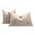 Pair of Canvello Genuine Cowhide Leather Decorative Throw Pillows With Feather Down Insert Included For Sale