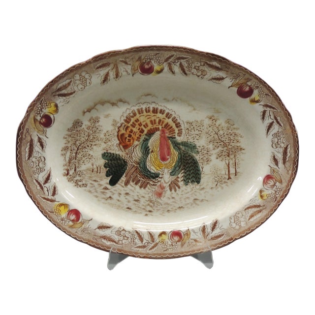 Vintage Ironstone Oval Turkey Serving Platter For Sale