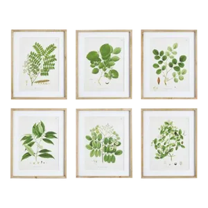 Tree Leaf Study in Wood Frames, Set Of 6
