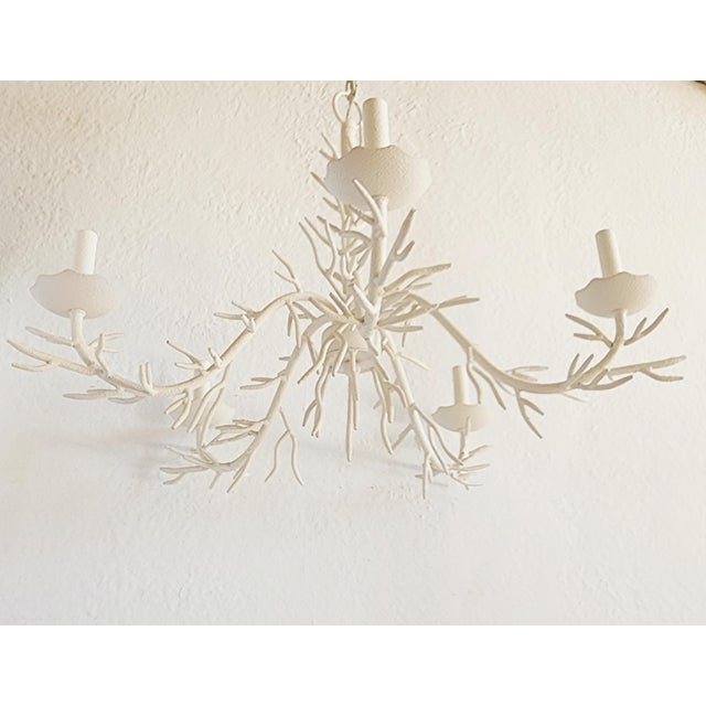 Coral Motif Five Lights Chandelier For Sale - Image 4 of 12