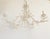 Coral Motif Five Lights Chandelier For Sale - Image 4 of 12