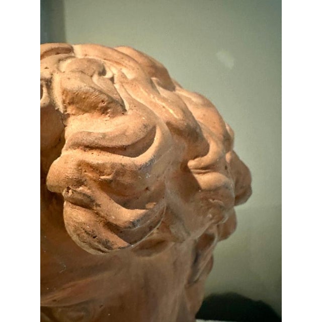 Antique Terracotta Bust of Michelangelos David by Manetti, Italy, 1910 For Sale - Image 9 of 11