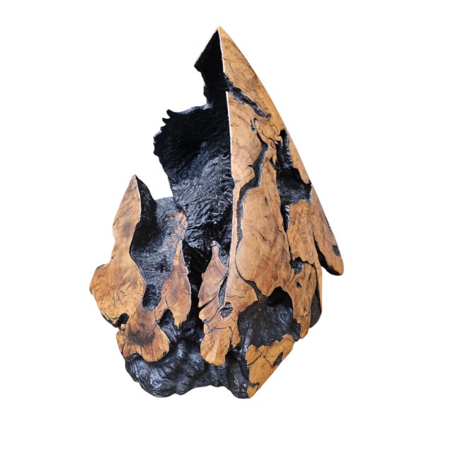 Signed Donnelly 1990 Abstract Wildlife Wood Sculpture – Organic Modern Art For Sale - Image 4 of 8