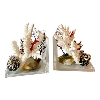 Lucite and Shell Bookends - a Pair For Sale