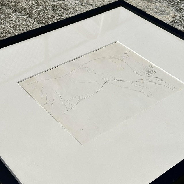 Vintage Framed Horse Body Sketch Drawing For Sale - Image 9 of 12