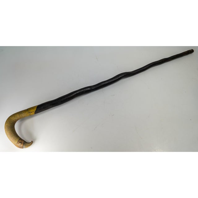 19th Century American Folk Art Carved Bird Eagle Head Cane or Walking Stick For Sale - Image 11 of 18