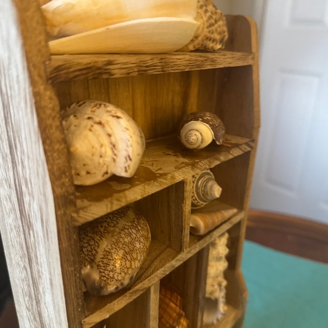 Vintage Wooden Shadow Box Display With Collected Seashells For Sale - Image 12 of 12