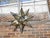 Mid 20th Century Mid Century Modern French Star Shaped Light Fixture with Mirrored Panels, USA Wired For Sale In Atlanta - Image 6 of 12