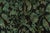 Contemporary floral green and black European inspired Tibetan rug by Doris Leslie Blau. Size: 7'10" × 9'7" (238 × 292 cm)....