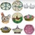 French Majolica Chick Egg Cup Circa 1890 For Sale - Image 9 of 9