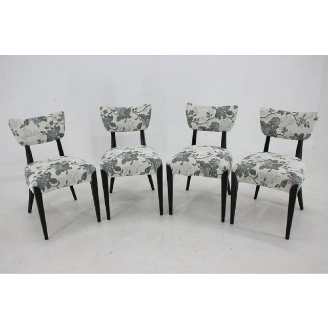 Dining Chairs by Jindrich Halabala for Hala, Czechoslovakia, 1950s, Set of 4 For Sale - Image 3 of 18
