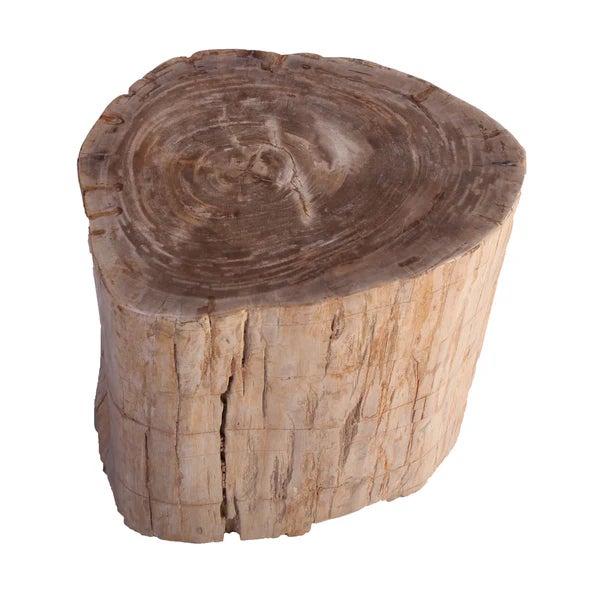 Made from one fossilized tree trunk, this organic petrified wood stool or side table is hand polished to show its...