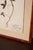 Framed Herbarium (Finland, C. 1928-30) Float Mount in Custom Burl Frame For Sale - Image 4 of 6