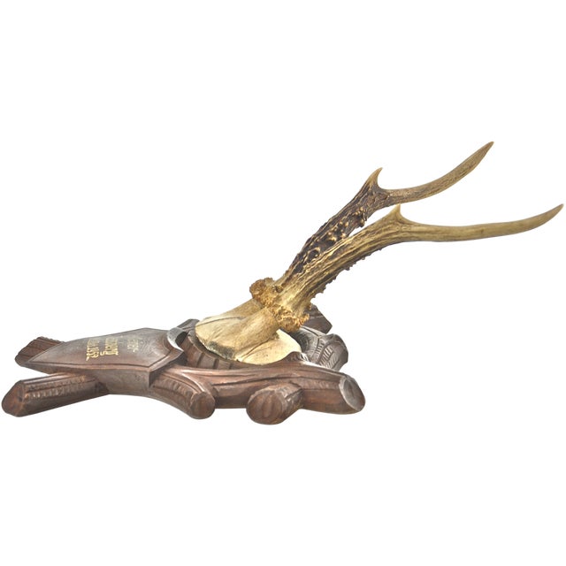 1950s European Mounted Roe Buck Antlers | Chairish