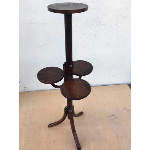 Bentwood Flower Bed from Thonet, 1940s For Sale - Image 9 of 18