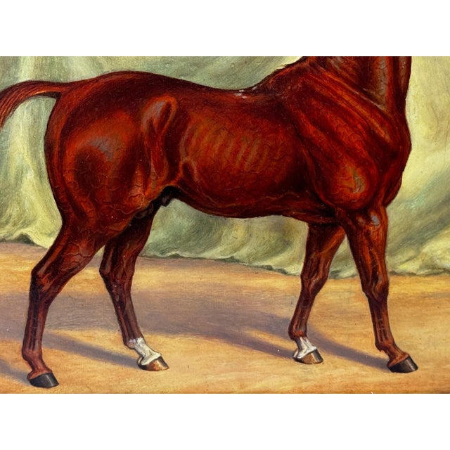English Victorian Sporting Oil Painting of an Arabian Horse in the Bombay Stables, India, c.1900 For Sale - Image 6 of 18