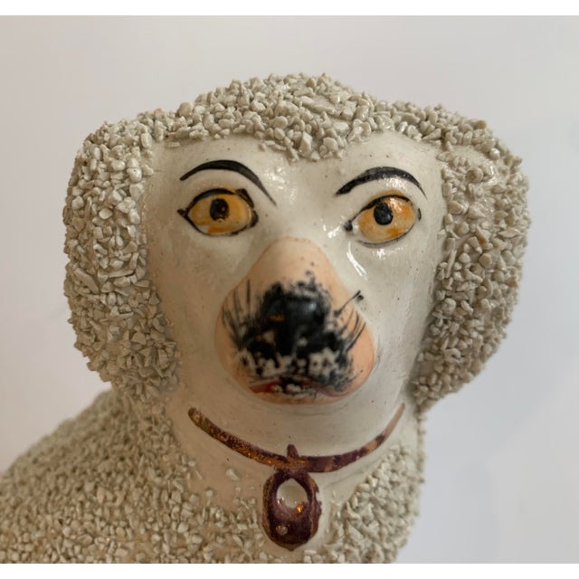 19th Century Staffordshire Poodles - a Pair For Sale - Image 11 of 13