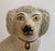 19th Century Staffordshire Poodles - a Pair For Sale - Image 11 of 13