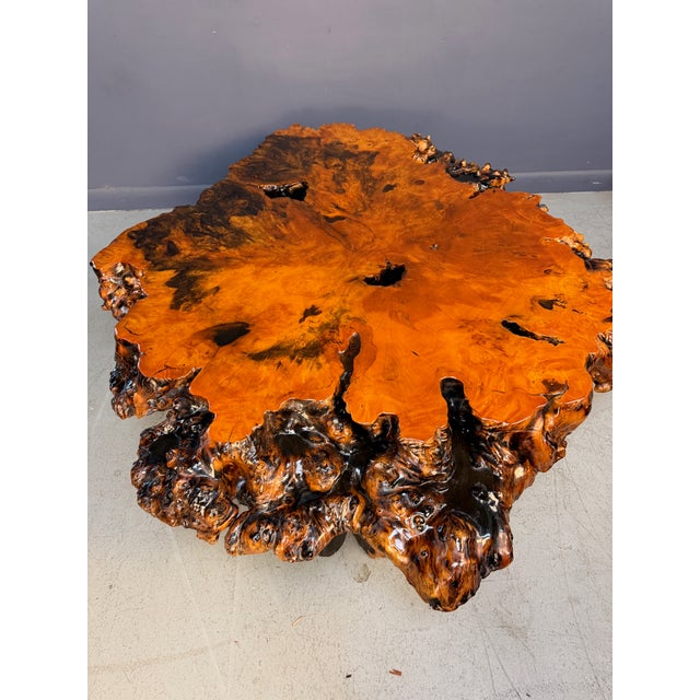 Vintage 1970s California Redwood Burl Live Edge Coffee Table on Redwood Stump Base For Sale - Image 14 of 15