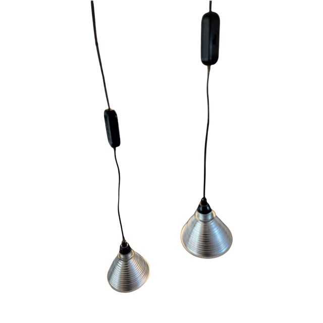 Grasl Vulgaris Pendant Lamps by Jan Roth for Ingo Maurer Design M, 1973, Set of 2 For Sale