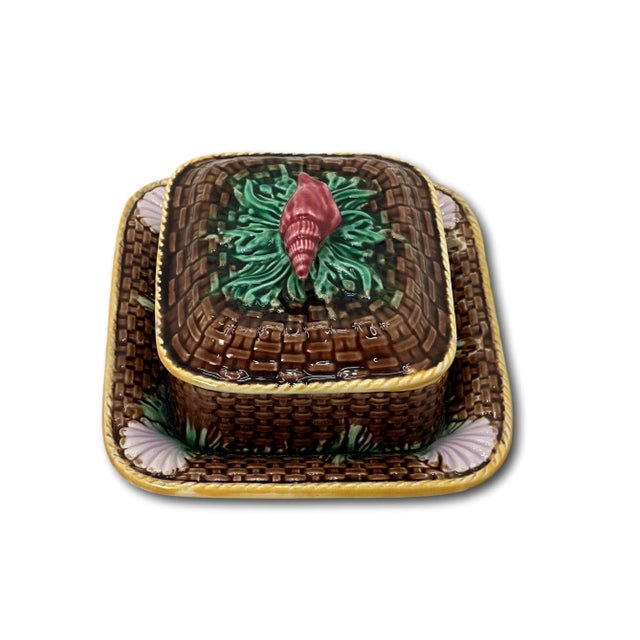 Late 19th Century Antique Aesthetic Victorian Majolica Seashell & Seaweed Motif Sardine Serving Dish - Box For Sale - Image 9 of 12