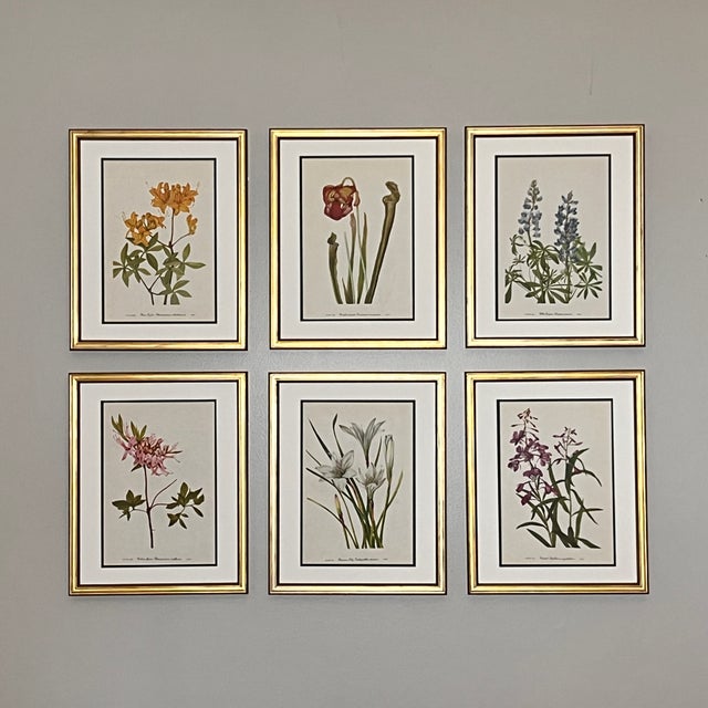 This is a beautiful set of 6 framed original vintage botanical prints from 1968. These vintage, in excellent condition,...