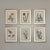 This is a beautiful set of 6 framed original vintage botanical prints from 1968. These vintage, in excellent condition,...