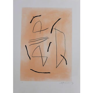 Alberto Rafols-Casamada, Signe i color 4, 1991, Original Etching For Sale