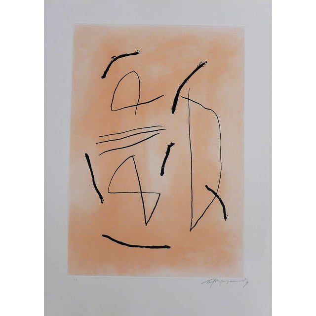 Alberto Rafols-Casamada, Signe i color 4, 1991, Original Etching For Sale