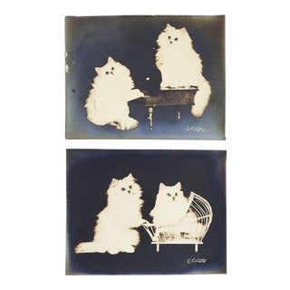 Vintage Angora Kittens Hand Colored Photographs - Set of 2 For Sale