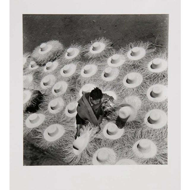 Realism Palm Hats, Leo Matiz Gelatin Silver Print, Signed in Pencil, Verso For Sale - Image 3 of 3