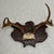 Early 20th Century Early 20th Century Black Forest Style Deer Antler Trophy on Carved Shield Plaque For Sale - Image 5 of 7