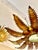Metal Spanish Solar Crown Sunburst Light with Gilt Gold Finish, 1950 For Sale - Image 7 of 11