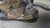 Spectacular coffee table depicting two proudly standing leopards on a rock. The beautifully detailed base supports a clear...