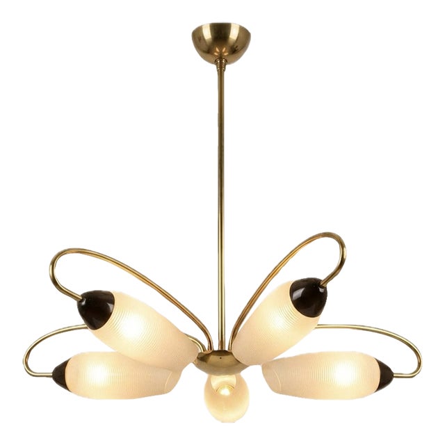 1950s Lampadario Di Design Francese, Francia Anni For Sale