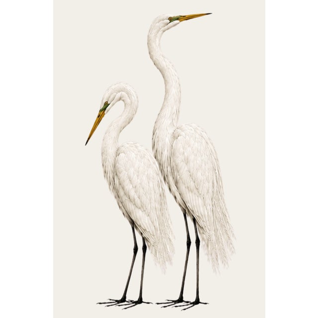 Contemporary Neutral Crane Studies 1 - 2, Coastal Bird Art Diptych, Set of 2 Prints, 40" X 60" For Sale - Image 3 of 9