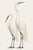 Contemporary Neutral Crane Studies 1 - 2, Coastal Bird Art Diptych, Set of 2 Prints, 40" X 60" For Sale - Image 3 of 9