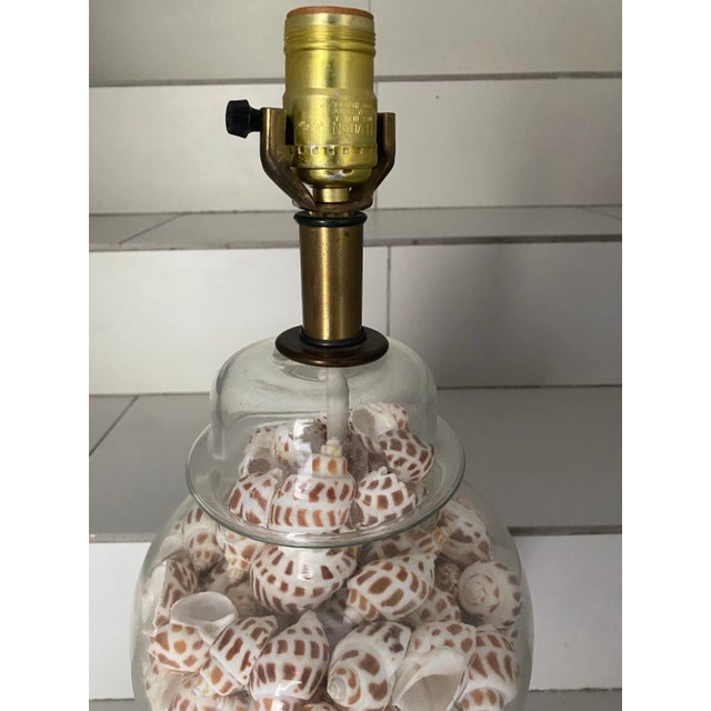 1960s-70s Sea Shell Lamp For Sale In Miami - Image 6 of 7