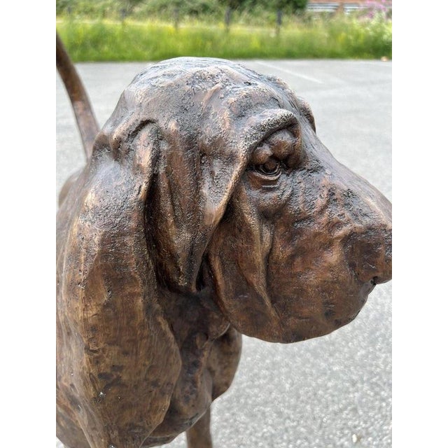 Life-Size Bronze Bloodhound Garden Statue from Christian Maas For Sale - Image 16 of 18