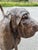Life-Size Bronze Bloodhound Garden Statue from Christian Maas For Sale - Image 16 of 18