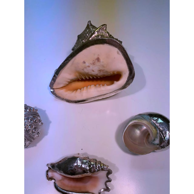 Vintage Shells Dipped in Sterling- Set of 4 For Sale - Image 12 of 13