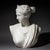 Grand Tour Marble Bust of Diana of Versailles, 19th Century For Sale - Image 17 of 18