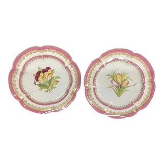 Pair of Mid 19th Century French or English Hand Painted Plates For Sale