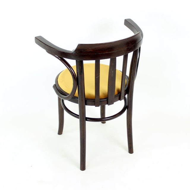 Brown Bentwood Armchair from Ton, Czechoslovakia, 1950s For Sale - Image 8 of 14