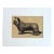 Antique Dog Print in 8 x 10 Mat, ca. 1890: "The Skye Terrier Thurkill" For Sale