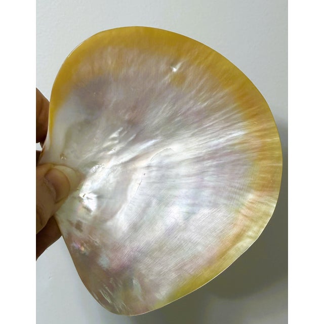 Shell Vintage Mother of Pearl Caviar Dishes and Spoons For Sale - Image 7 of 16