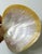 Shell Vintage Mother of Pearl Caviar Dishes and Spoons For Sale - Image 7 of 16